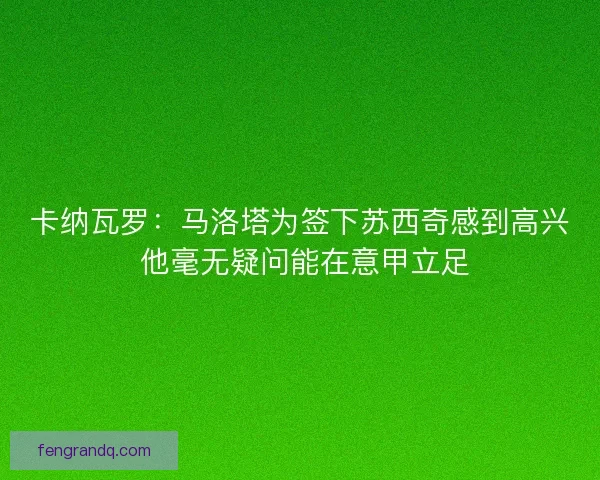 卡纳瓦罗：马洛塔为签下苏西奇感到高兴 他毫无疑问能在意甲立足