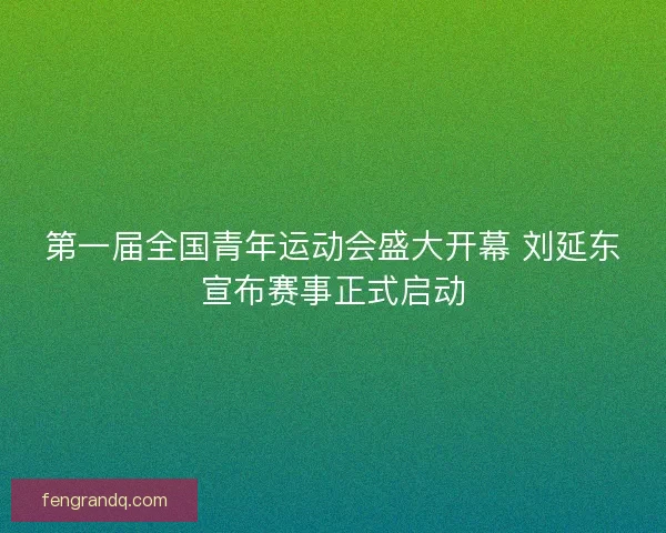 第一届全国青年运动会盛大开幕 刘延东宣布赛事正式启动