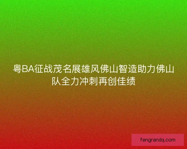 粤BA征战茂名展雄风佛山智造助力佛山队全力冲刺再创佳绩